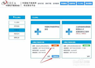 电子商务考试是啥专业考